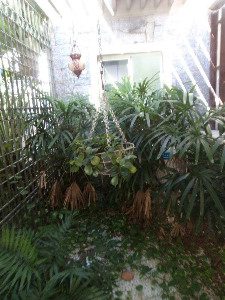 פורטאלזה Pousada Marrakech מראה חיצוני תמונה